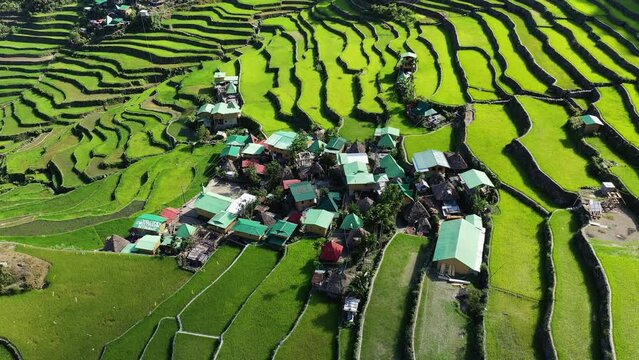 The green UNESCO terraced rice fields of Batad , Asia, Philippines, Ifugao, Luzon, towards Banaue, in summer on a sunny day.