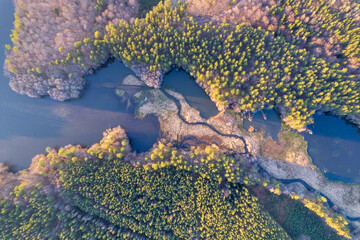 River, forest, natural environment from a bird's eye view in the morning. Low flying under trees, wildlife and nature in beautiful weather conditions.