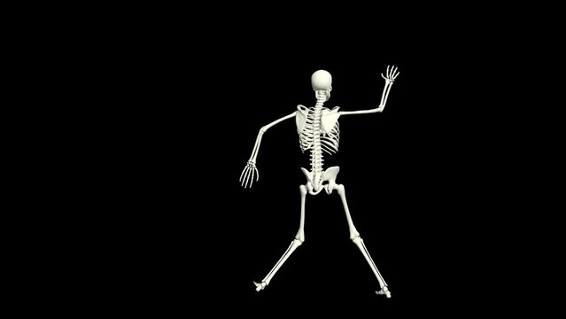 Skeleton Dancing 3D Animation.
You will get the Super Realistic 3D Animation dance of Skeleton.
