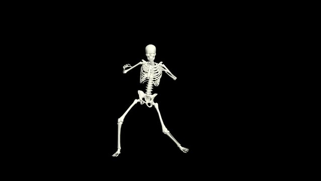 Skeleton Dancing 3D Animation.
You will get the Super Realistic 3D Animation dance of Skeleton.
