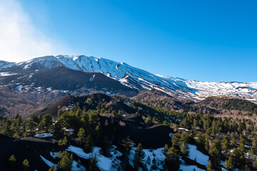 Panoramic view on solidified lava, ash, pumice fields of erupted Sartorio crater. Landscape dark volcanic sand on bare terrain. View on snow capped volcano mount Etna, in Sicily, Italy, Europe. Pine