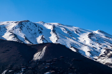 White birch forest growing on brown dark volcanic sand, bare terrain. Scenic view on volcano mount Etna, in Sicily, Italy, Europe. Solidified lava, ash, pumice on snow covered crater slopes. Flora