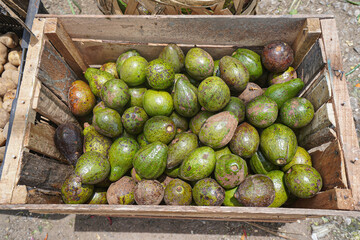 Avocado on a market stall