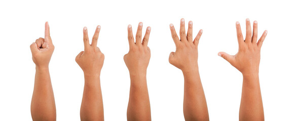 Collection of fingers 1-5 and held up. on a white background with clipping path