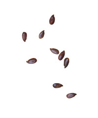 Sesame seeds isolated on white background.