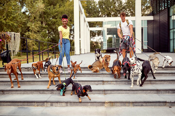 Professional dog walker enjoying with dogs while walking outdoors