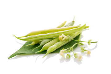 organic string bean with leaves and blossom isolated