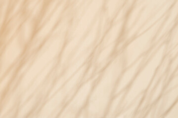 Fototapeta premium Abstract pink background with shadows from tree branches. Blurred background.Abstract background of the shadow of branches on a concrete wall. texture for background and wallpaper