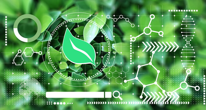 Using biomass and chemistry to conserve nature,nature conservation concept,Balanced use of biomass