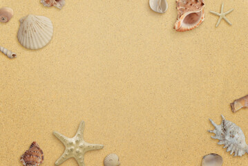 Fototapeta na wymiar Flat lay minimal beach composition with shells on sand. Copy space in the middle. Top view