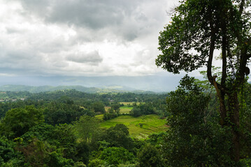 Obraz na płótnie Canvas Sri Lankan hill country with terraced rice field