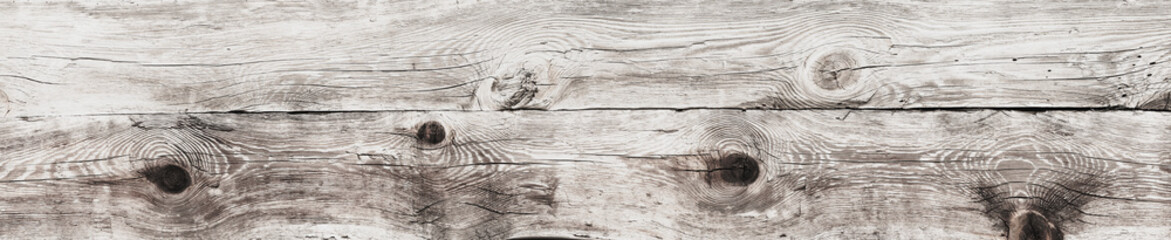 Jasne naturalne drewniane tło Tekstura białego skorodowanego drewna. Panorama.
