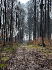 Im Donautal bei Beuron