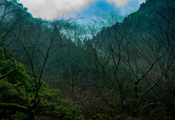 morning in the mountains