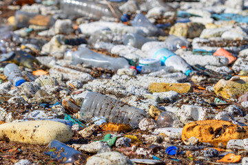garbage and pollution on water