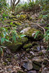 日本の岡山県の那岐山の美しい風景