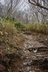 日本の岡山県の那岐山の美しい風景