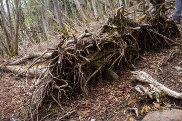 日本の岡山県の那岐山の美しい風景