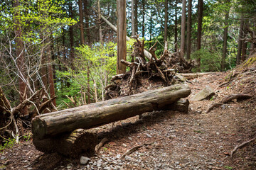 日本の岡山県の那岐山の美しい風景