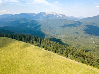 Obraz premium Green mountains of Ukrainian Carpathians in summer. Sunny day, rare clouds. Aerial drone view.