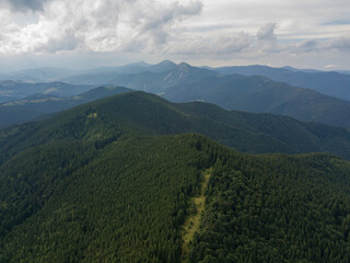 Obraz premium Green mountains of Ukrainian Carpathians in summer. Aerial drone view.
