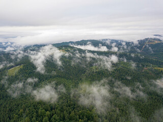 Green slopes of Ukrainian Carpathian mountains in summer. Cloudy morning, low clouds. Aerial drone view.