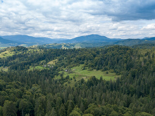 Green mountains of Ukrainian Carpathians in summer. Coniferous trees on the slopes. Aerial drone view.