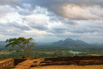 Fototapeta na wymiar A view from Sigiriya Rock, Sri Lanka