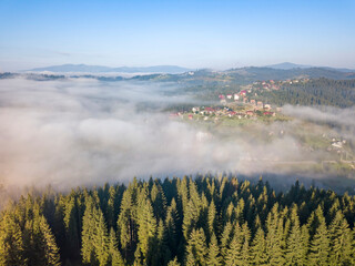 Morning mist in Ukrainian Carpathian mountains. Aerial drone view.