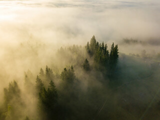 Obraz na płótnie Canvas Foggy summer morning in the Ukrainian Carpathians. Aerial drone view.