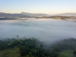 Green mountains of the Ukrainian Carpathians in the morning mist. Aerial drone view.