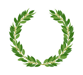 Laurel wreath. Vector illustration of a round wreath of laurel branches with green leaves isolated on a white background.