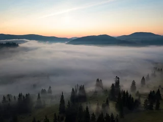 Zelfklevend Fotobehang Mistig bos Morning fog in the Ukrainian Carpathians. Aerial drone view.