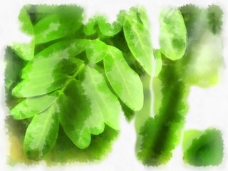 a group of leaves watercolor style illustration impressionist painting.