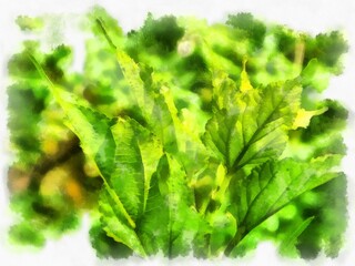 a group of leaves watercolor style illustration impressionist painting.