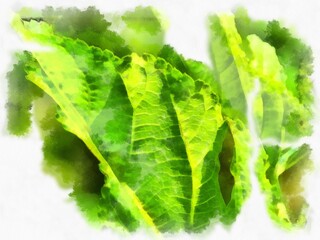 a group of leaves watercolor style illustration impressionist painting.