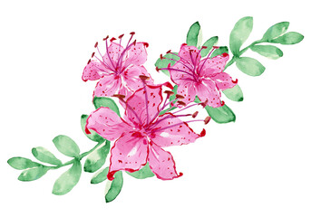 Watercolor bouquets of spring flowers . Suitable for greeting cards,invitations,design works,crafts and hobbies.