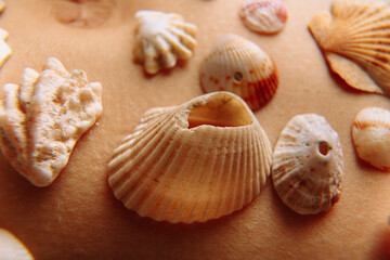 Fototapeta na wymiar Different kinds of seashells, corals on woman body macro detail structure