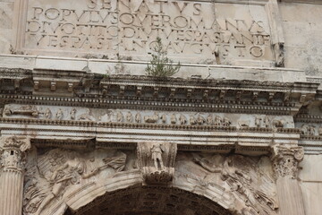 ROME, ITALY - February 05, 2022: Panoramic view around the Colosseum in city of Rome, Italy. Cold and gray sky in the background. Macro photography of the green parks with the old buildings.