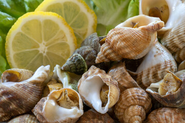 close up of cooked whelks on a plate with salad and lemon