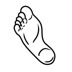 Human foot Line art vector