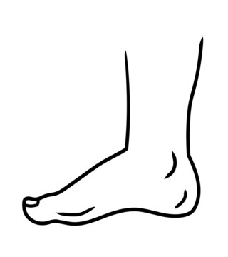 Human foot Line art vector