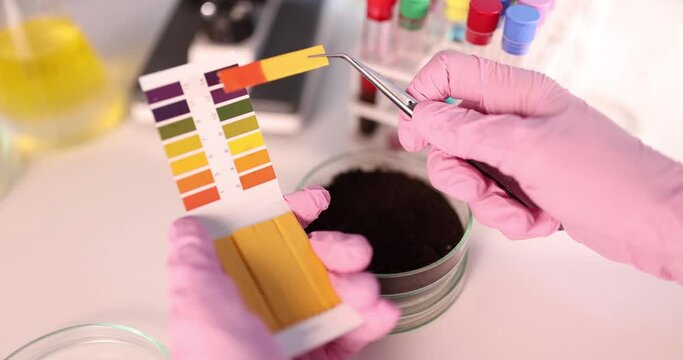 Scientist with saltpeter samples Founded to study biotechnology in laboratory