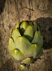 Obraz premium Fresh cut organic green yellow artichoke on a unfocused rough wooden board. Healthy food on rustic background