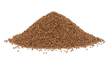 Perilla seeds isolated on white background.