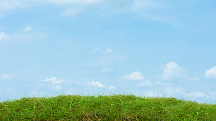 Fototapeta na wymiar Green grass on blue sky nature background.