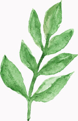 Watercolor plants .Suitable for greeting cards,invitations,design works,crafts and hobbies