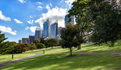 City Buildings of Sydney from the Botanic Gardens