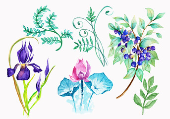 Watercolor plants set .Suitable for greeting cards,invitations,design works,crafts and hobbies