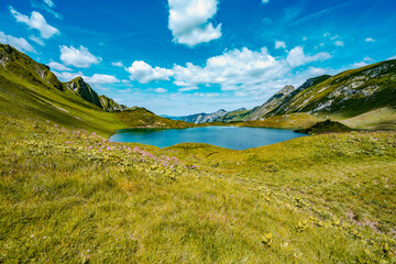 Schreckseeidylle am Nachmittag